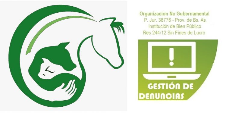 Realizaron una denuncia penal ante la explotación animal de las “cinchadas” con apuestas