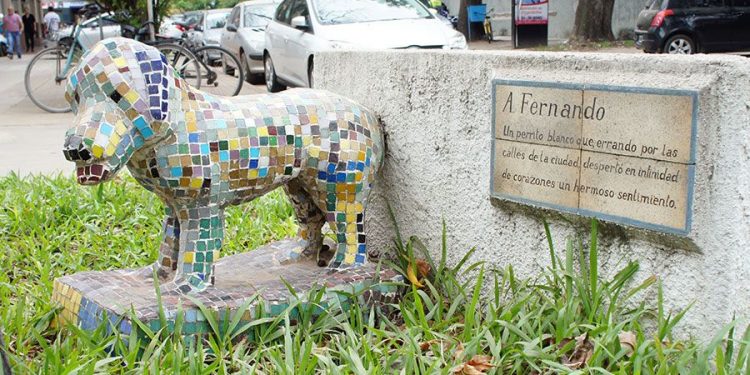 Fernando, el perro más famoso de Chaco