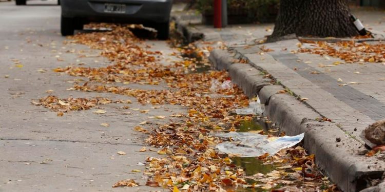 Un Concejal solicitó al ejecutivo municipal que “se realice una limpieza adecuada de calles y veredas”