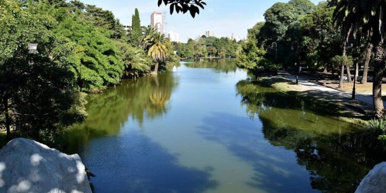 Propuestas para contribuir con el cuidado del Medio Ambiente