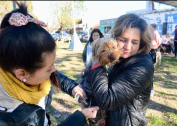El consultorio veterinario movil estará en Gorina