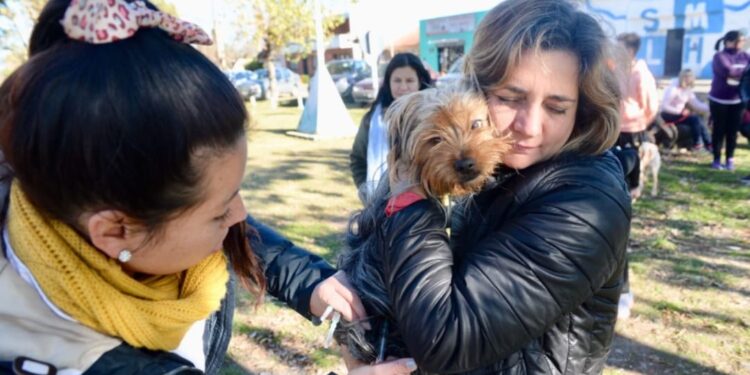 El consultorio veterinario movil estará en Gorina