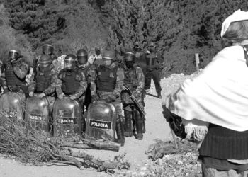 Bloqueos y desalojos a Mapuche en El Bolsón: “Hay presión al Estado desde negociados en pinificación”