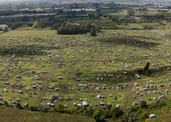Toma de tierras en La Plata: la Provincia responsabiliza al intendente Julio Garro