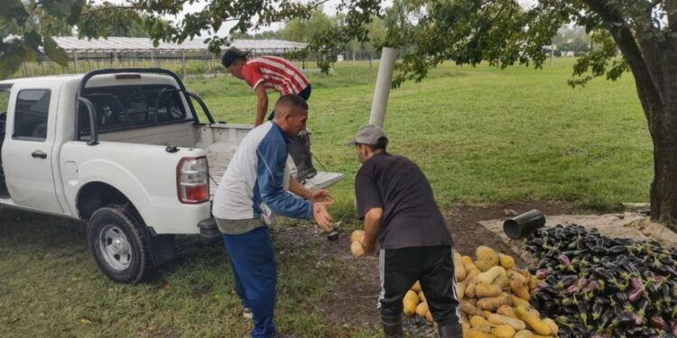 Se realizó una donación de verduras a una comunidad terapéutica de Arturo Seguí