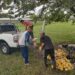 Se realizó una donación de verduras a una comunidad terapéutica de Arturo Seguí