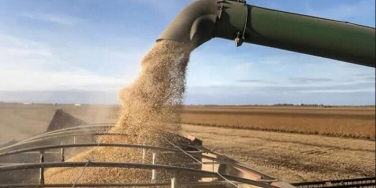 El Gobierno nacional anunció la suspensión en las exportaciones de harina y aceite de soja