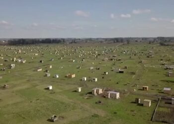 Toma de los Hornos:  en medio de las disputas políticas crece el número de familias sin hogar