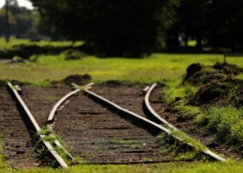 Anunciaron que el Tren Universitario llegará a Los Hornos para 2023