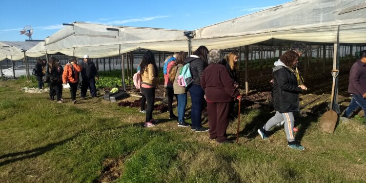 Volverán las visitas guiadas al cordón frutihortícola platense
