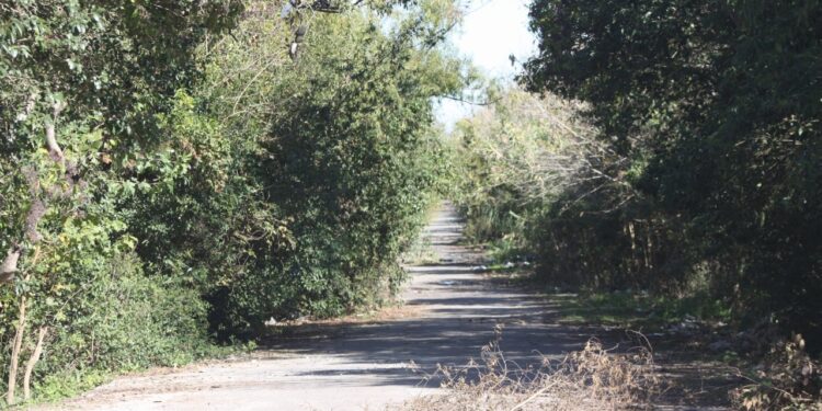 Advirtieron sobre un “plan orquestado” que atenta contra la Reserva del Parque Pereyra