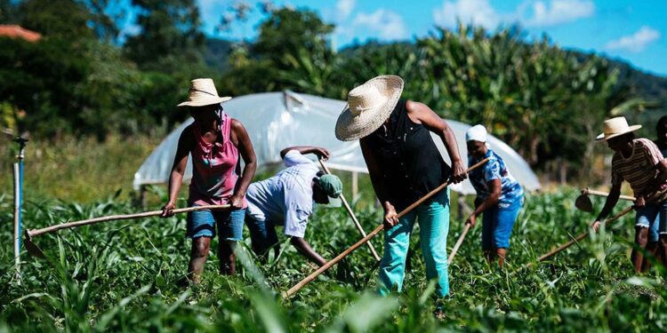 Después de ocho años, se reglamentó la Ley de Reparación Histórica para la Agricultura Familiar