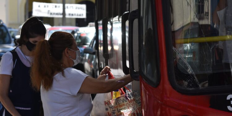Propusieron la creación de un “boleto único” de colectivos para estudiantes terciarios en La Plata