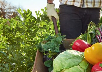 Después de ocho años, se reglamentó la Ley de Reparación Histórica para la Agricultura Familiar