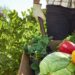 Después de ocho años, se reglamentó la Ley de Reparación Histórica para la Agricultura Familiar