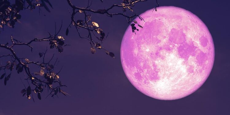 Luna llena de fresa ¿Por qué esta noche se verá así?