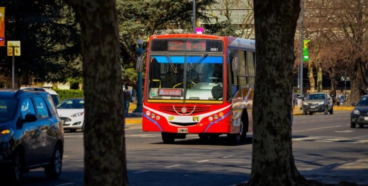 Lanzaron una encuesta para redefinir el transporte público en La Plata