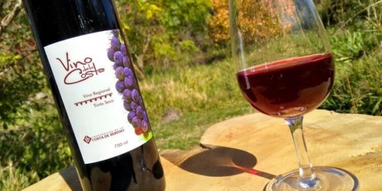 Llega la Fiesta del Vino de la Costa a Berisso: conocé la grilla de actividades