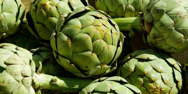 Llega la Fiesta del Alcaucil a la ciudad de las diagonales