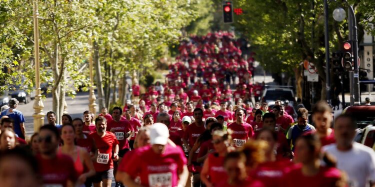 Se realizará una nueva edición de la Maratón de la UNLP