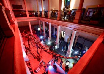 “Museos a la luz de la luna” llegará a La Plata