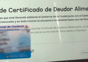 El Registro único de deudores alimentarios ya obtuvo media sanción en Diputados