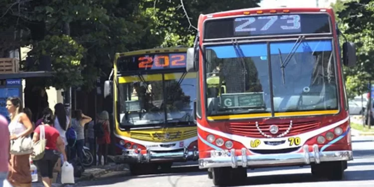 Los colectivos comenzarán a circular con frecuencia de verano en La Plata
