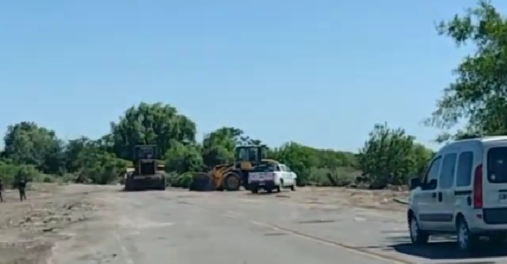 Denunciaron la destrucción de la Reserva Integral de Punta Lara por parte de Ensenada y la Provincia