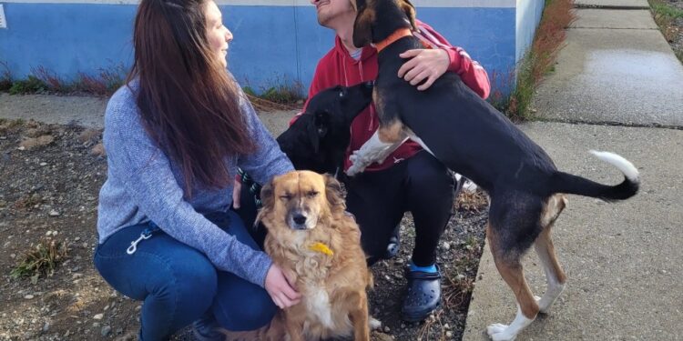 Realizarán una feria para conectar mascotas y familias con deseo de adoptar en La Plata