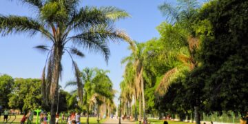 Una concejala del FdT propuso crear baños públicos inclusivos en plazas y parques