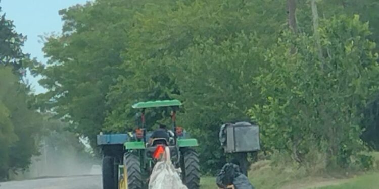 Multarán a vecinos de barrio privado acusados de usar de “basurero” al Parque Pereyra