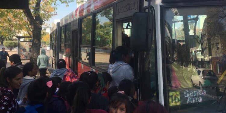 Ya circula por la ciudad el primer micro doble