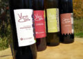 Berisso se prepara para una nueva edición de la Fiesta del Vino de la Costa