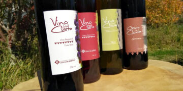 Berisso se prepara para una nueva edición de la Fiesta del Vino de la Costa