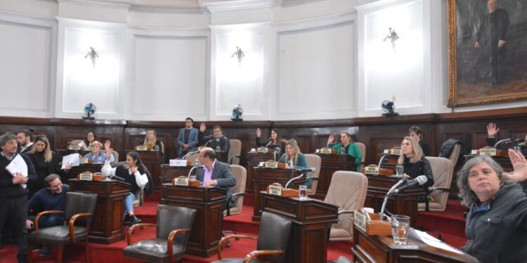 El Concejo Deliberante platense volvió a sesionar