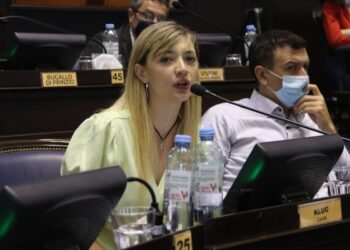 Lucia Klug: “El acuerdo con el FMI nos impide tomar medidas de fondo, hay que dar esa discusión”