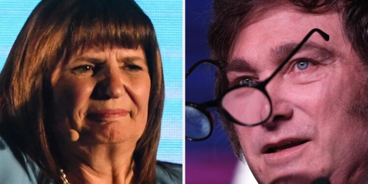 Bullrich denunció penalmente a Milei por afirmar que fue “una montonera tira bombas”