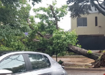 ¿Cómo quedó la ciudad luego del temporal?