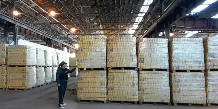 Crisis en los comedores comunitarios: “El gobierno nacional es capaz de esperar a que la gente se muera en la calle”