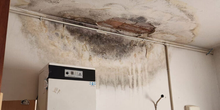 Un informe de la Municipalidad muestra el abandono en los Centros de Salud de La Plata