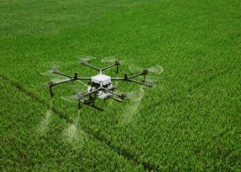 Susana Laborde: “Que pongan menos o más veneno, contaminan igual”