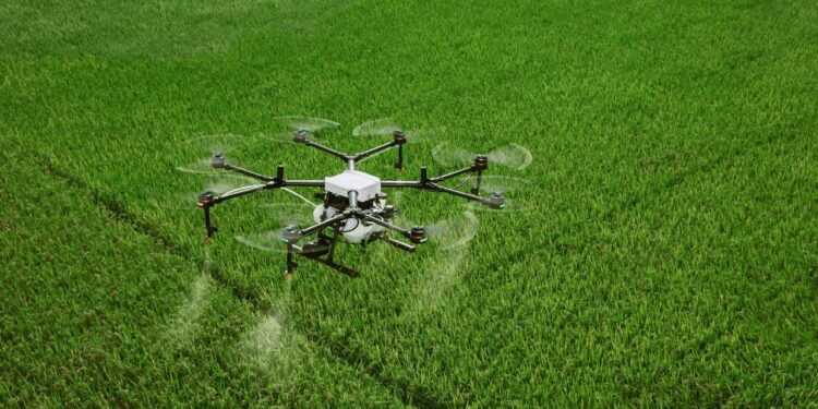 Susana Laborde: “Que pongan menos o más veneno, contaminan igual”