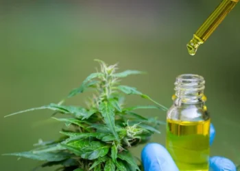 Claudia Perez de Madres Cultivadoras La Plata: “No hay Estado, la provincia tampoco está bancando en este tema”