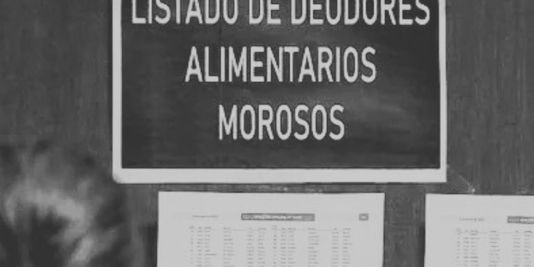 La Legislatura bonaerense simplificó el reclamo a deudores alimentarios