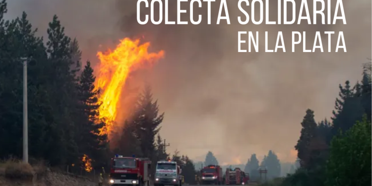 La Plata: colecta para colaborar en el combate de incendios en la Patagonia