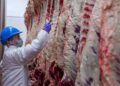Vuelve el Frigorífico de Gorina