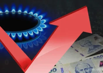 Diputados aprobó el recorte de subsidios al gas por Zonas Frías