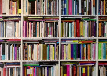 El Gobierno envió al Senado un proyecto para derogar la Ley del Libro y encendió la alerta en las librerías independientes