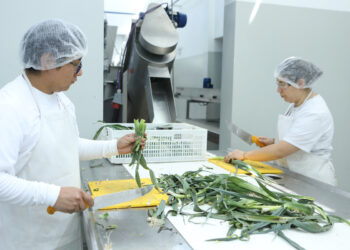 De La Plata a Rosario: se multiplica el modelo de la Planta de Alimentos de la UNLP