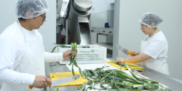 De La Plata a Rosario: se multiplica el modelo de la Planta de Alimentos de la UNLP